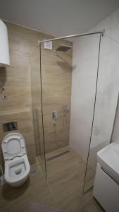 a bathroom with a toilet and a glass shower at Madulo apartman in Jahorina