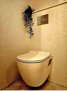 a white toilet in a bathroom with a plant on the wall at Tiramisu in Ventspils +16 photos