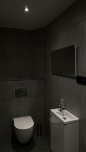 La salle de bains est pourvue de toilettes et d'un lavabo. dans l'établissement Relaxation House: Jacuzzi, Sauna, à Übach-Palenberg