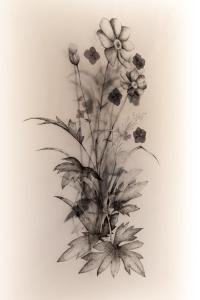 a black and white photo of flowers on a wall at Willa Amicus in Zakopane