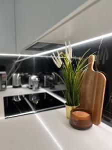a kitchen counter with a plant and a chopping board at Brand New 1 Bed Modern Apartment in London