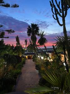 a pathway with palm trees and a sunset at Ryad du Pêcheur Safi in Safi