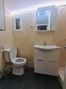 La salle de bains est pourvue de toilettes et d'un lavabo. dans l'établissement Comfortable Apartment in Athens Kallithea, à Athènes