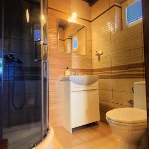 een badkamer met een toilet, een wastafel en een douche bij Domek na Modyni in Łącko