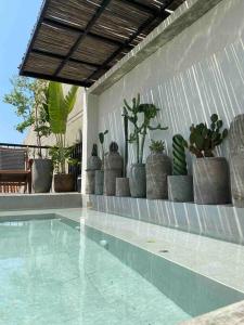 una piscina con un montón de macetas en Casa Siete Infantes, en Cartagena de Indias