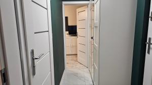 Kuchyňa alebo kuchynka v ubytovaní Apartament Zielona Przystań Gdańsk