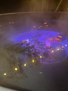 uma piscina de água com peixes com luzes em На Краю Світу em Murovanka