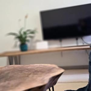 Μια τηλεόραση ή/και κέντρο ψυχαγωγίας στο Apartman Maximus +57 φωτογραφίες