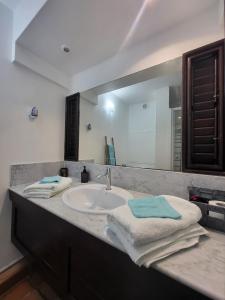 a bathroom with a sink and a large mirror at le TI-ANOLIS tartane martinique in La Trinité