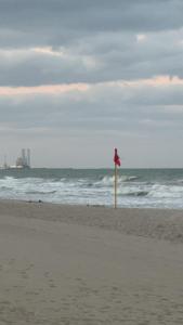 a red flag on a beach with the ocean at Dream Beach View in Ajman 