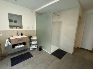 a bathroom with a shower and a sink at Geräumige Wohnung im Zentrum von Bludenz in Bludenz