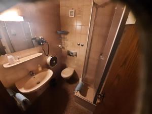 ein Bad mit einer Dusche, einem Waschbecken und einem WC in der Unterkunft Gasthof Keller Merdingen in Merdingen