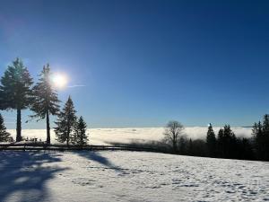 un champ enneigé avec le soleil dans le ciel dans l'établissement Naturfreundehaus Brend, à Neuweg