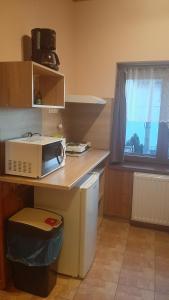Kuchyň nebo kuchyňský kout v ubytování Guest House Vila Frýdštejn