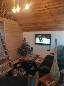 a living room with a christmas tree and a television at Cottage Mila in Žabljak