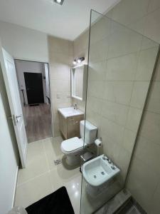 uma casa de banho com um WC e um lavatório em Apartament in the center Ushuaia two em Ushuaia