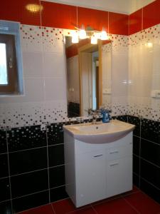 ein Badezimmer mit Waschbecken und Spiegel in der Unterkunft Apartmány Adéla in Český Rudolec
