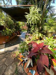 un giardino con molti tipi di piante di Posada Portal del Iguazu a Puerto Iguazú