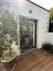 a potted tree sitting on a wooden deck at STUDIO avec PISCINE in Carmaux