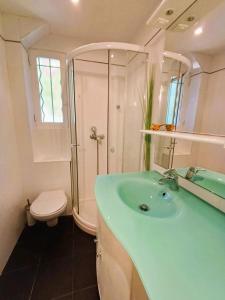 a bathroom with a sink and a shower and a toilet at Antibes Port de Salis Appart 3p in Antibes