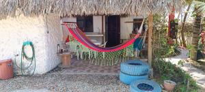 a hammock is hanging from a thatch hut at Hugo's Relax Home (Casa) in Ayangue