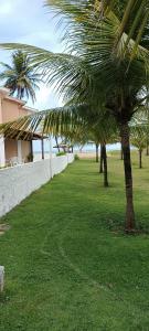 a lawn with palm trees in front of a house at Chalé Barra Sirinhaém in Sirinhaém