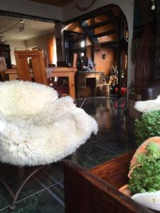a white furry object sitting on a table in a room at HOSTAL AIRE PATAGON in Coihaique