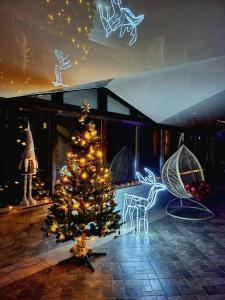 uma árvore de Natal está numa sala com luzes em Glory em Truskavets