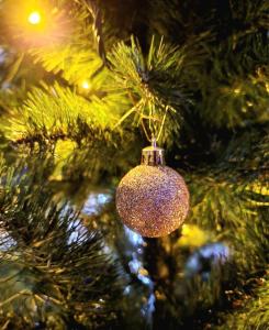 ein Weihnachtsornament hängt an einem Weihnachtsbaum in der Unterkunft Glory in Truskawez