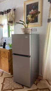 La cuisine est équipée d'un réfrigérateur et d'une plante. dans l'établissement Cool Breeze Suites, à Union Island