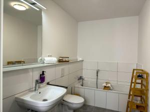 a bathroom with a sink and a toilet and a mirror at Home Inn Apartments - 203 in Minden