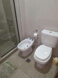 ルハン・デ・クージョにあるMoreno Park Complejo Residencial Bloque 5 Dep 1, Lujan de Cuyoのバスルーム(トイレ、洗面台、シャワー付)