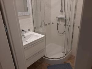 ein Bad mit einer Dusche und einem Waschbecken in der Unterkunft Apartament Wenecja in Graudenz