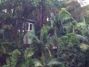 Fotografie z fotogalerie ubytování Sparadise a natureza em harmonia com tecnologia v Sao Paulu