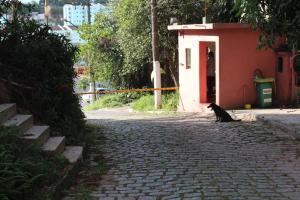 Fotografie z fotogalerie ubytování Sparadise a natureza em harmonia com tecnologia v Sao Paulu