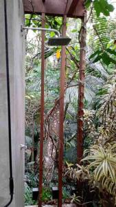Fotografie z fotogalerie ubytování Sparadise a natureza em harmonia com tecnologia v Sao Paulu