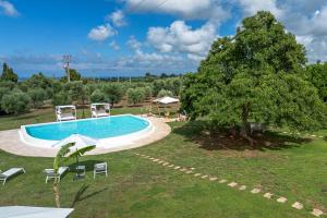 una piscina con sedie e un albero in un campo di Villa Clive Relax & Sun a Ostuni