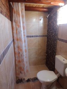 uma casa de banho com um WC e um chuveiro em Cabaña arcoiris em El Parador
