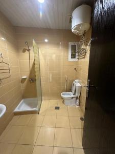 麥加的住宿－فندق نجمة ذاخر，带淋浴、卫生间和盥洗盆的浴室