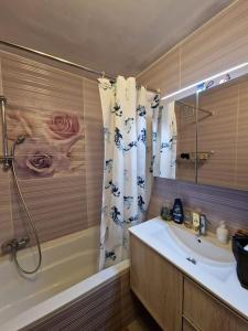 uma casa de banho com uma banheira, um lavatório e um chuveiro em Appart meublé 92m2 + 2 terrasses em Bruxelas