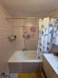 a bathroom with a shower and a tub with a sink at Appart meublé 92m2 + 2 terrasses in Brussels +22 photos