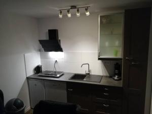 a kitchen with a sink and a laptop on the counter at Cottage in Słup in Słup