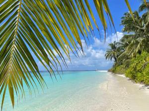 a view of a beach with palm trees and the ocean at PrivHotel - Himandhoo in Himandhoo 