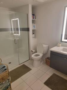 a bathroom with a shower and a toilet and a sink at Amazing big studio near Balboa Park Jacuzzi rooftop free parking! in San Diego