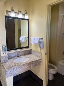 uma casa de banho com um lavatório, um espelho e um WC. em Red Roof Inn & Suites Sulphur Springs em Sulphur Springs