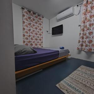 a bedroom with a bed and a television and a rug at Pak Long Man Roomstay in Pendang