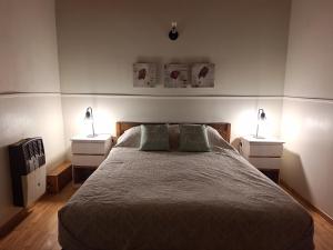 1 dormitorio con 1 cama con 2 mesitas de noche y 2 lámparas en Departamentos Temporarios Cabañas Ushuaia en Ushuaia