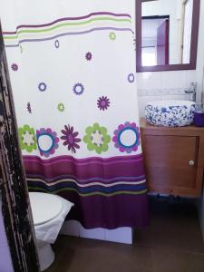 a bathroom with a shower curtain with flowers on it at Hostal Arrayan in Valdivia