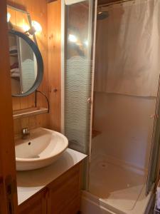 Petit chalet 40 m2 en Ubaye BARCELONNETTE في بارسلونات: حمام مع حوض ودش