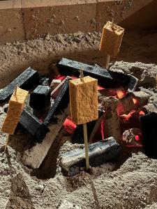 a group of blocks on sticks in the dirt at 白馬の黒馬　DarkHorse @Hakuba in Hakuba